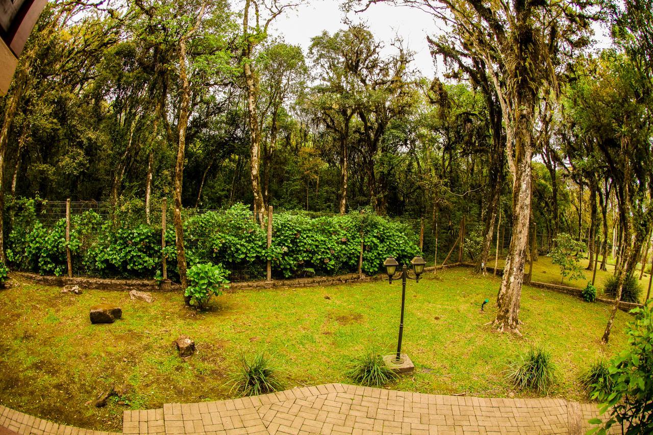 Pousada Das Papoulas Gramado Buitenkant foto
